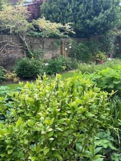 The Resting Shepherd - Angmering - 8