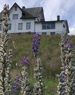 Stall Rygg Apartment, Gloppen -  - 0