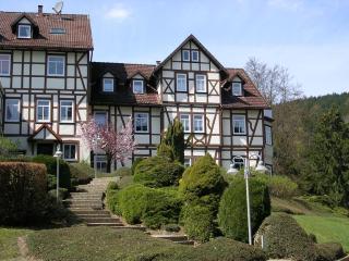 Familienfreundliche, Komfortable Ferienwohnung Mit Garten - Bad Sachsa - 0