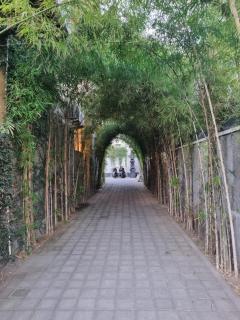 The Sania's - Seminyak - 2