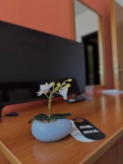 Hotel Petar - 6