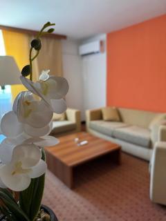 Hotel Petar - Kotor-Varoš - 8