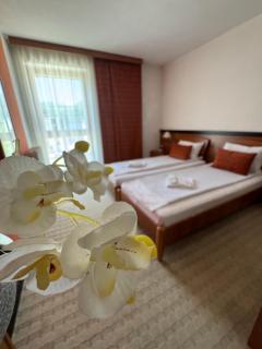 Hotel Petar - Kotor-Varoš - 3