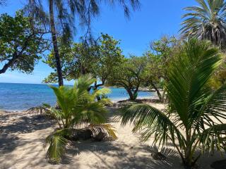 TI COCOTIER Studio PREMIUM Village Pierre&Vacances - 1