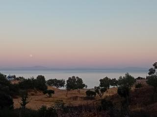 Ippokampos - Moutsouna Naxos - 2