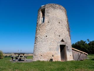 Le Moulin de la Garenne - Vibrac - 0
