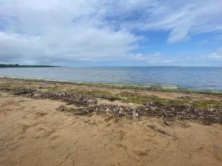 La Bohème Atlantique, proche du Port - 5