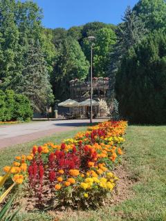 Apartman Despot LUX - 3