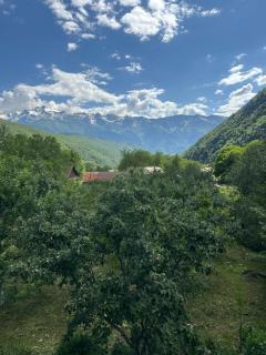 Guest House Vivaushba - 5