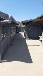Casă de la țară lângă Vinăria Purcari - Purcari - 3