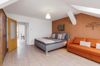 Vila Anna - Apartmány - Česká Lípa - 2