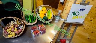 Tweet Apartments with Sauna and optional Breakfast Close To Terme Sveti Martin - Štrigova - 9