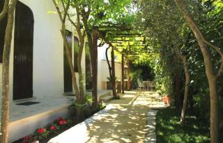 Civico Quattro - San Felice Circeo - 2
