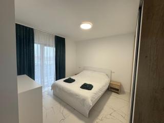City Vibe Apartment - Baia Mare - 3