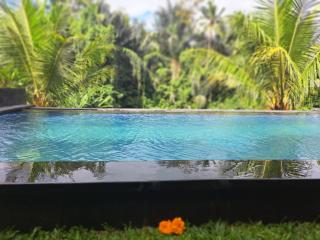 villa ghansa - Ubud - 1