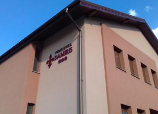 Pensiunea Damiris - Băile Felix - 8