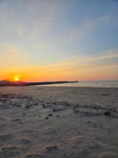 Dzintarielas Miera Osta - 4