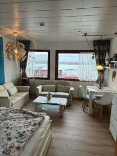 Seeschwalbe - Burgtiefe auf Fehmarn - 4
