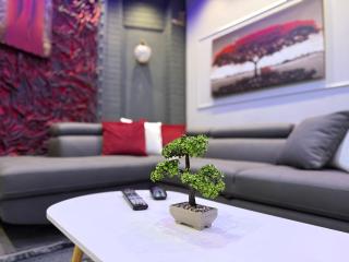 David Apartment - Gjirokastra - 0