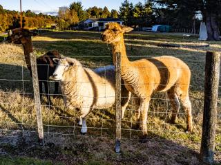 Taylor Lodge Adventure Base - Erua Holiday Home - Erua - 9