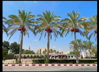 شاليهات قريه سما العريش - - 9