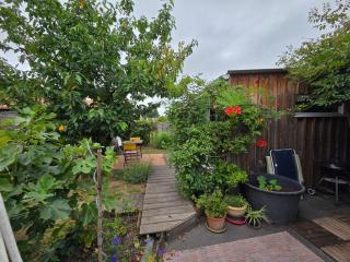 Deux studios bois terrasse jardin bassin et océan - 5