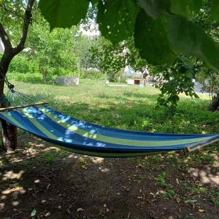 Atyan Guest House - 3