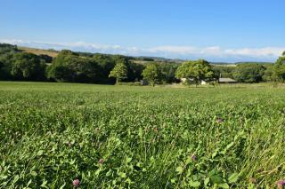 Woodend Hideaway Hamsterley - Sleeps 2 & Garden - Hamsterley - 2