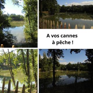 Mobil-home équipé pour un séjour au vert avec piscine - Trogues - 6