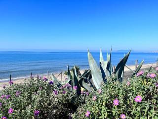 Casa duna sulla spiaggia - 0