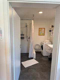 Ferienwohnung nahe des Bodensees - Neukirch - 3