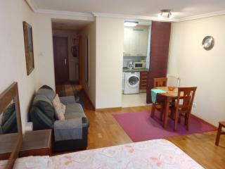 APARTAMENTOs OVIEDO PARAISO 2 - Oviedo - 3