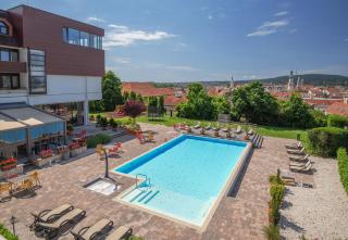Hotel Sopron - Sopron - 3