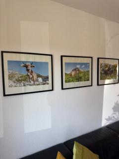 Ferienwohnung nahe des Bodensees - Neukirch - 6