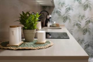 Apartamento rural Isla Esencia de Bardenas Navarra - Villafranca - 7