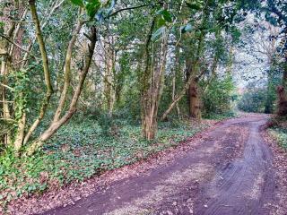 Wintons Farmhouse - Hambrook - 8