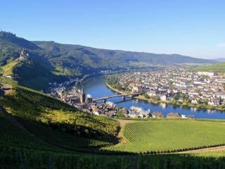 Fewo Mosel & mehr - Bernkastel-Kues - 4