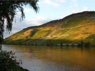 Fewo Mosel & mehr - Bernkastel-Kues - 2
