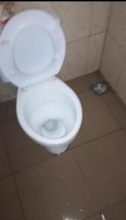 Comfort zone - Sagamu - 2