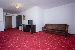 Hotel si restaurant Noe Timisoara - Timişoara - 2