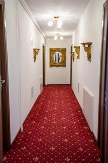 Hotel si restaurant Noe Timisoara - Timişoara - 4