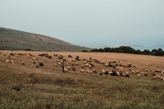 Ghar El Melh Outdoors - Raʼs al Jabal - 1