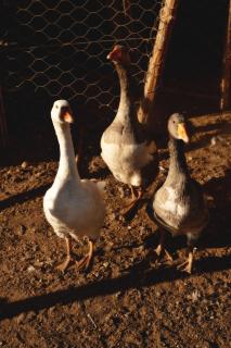 Ghar El Melh Outdoors - 2