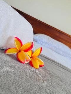Hotel Tanish Estate - - 0