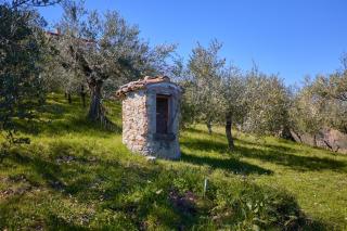 Oleum Guest House - Mirabello Sannitico - 6