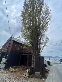 Populasunupuri - Vacation STAY 62945v - Otaru - 8