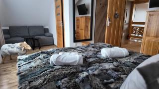 Willa Owca i Baran - 7