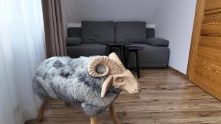 Willa Owca i Baran - 6