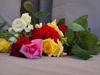 Casa Bambino Sithonia - 7