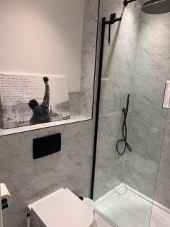 Stunning, newly refurbished flat - London - 2